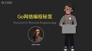 Go网络编程 | Golang网络编程 | net/http包 | TCP编程 | UDP编程 | WebSocket | 高并发服务器 | Gin框架 | RPC编程 | Socket编程
