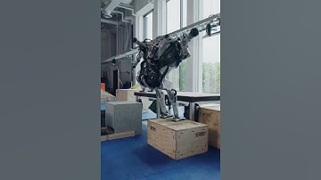 Human Robots in War #shorts #shortvideo