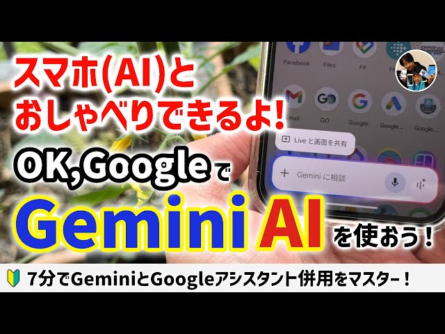 ジェミニアスサイン XSサイズあり【an /アン】ショルダーリボン/ フロントジップ