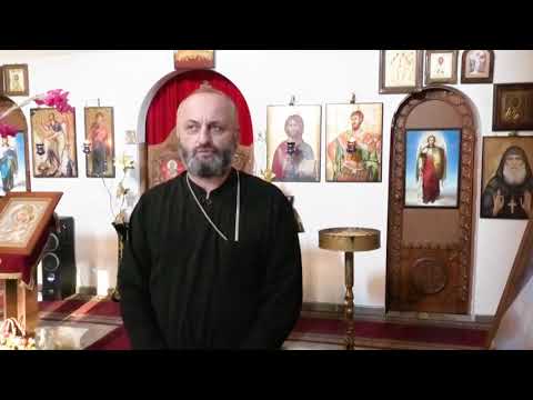 მამა თეოდორე | ჰეპატოლანი ბიო