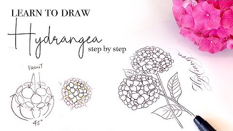 How to draw Hydrangea like a PRO🎉 | Drawing easy | Flower doodle | Tutorial for beginners