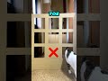 Black Cat vs White Cat 🐱 Who’s Smarter? Tic-Tac-Toe Challenge!