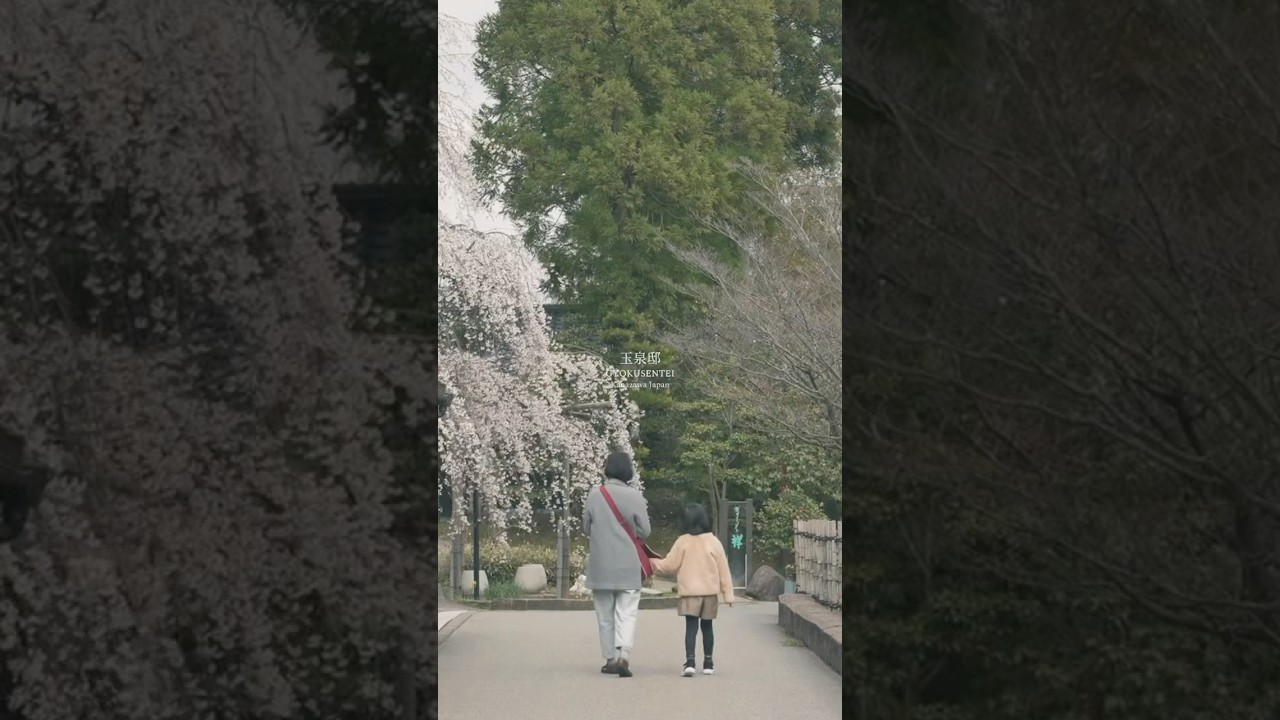 時間が止まる場所、金沢 #shorts #桜 #sakura #japantravel #nikoncreators #wabunka