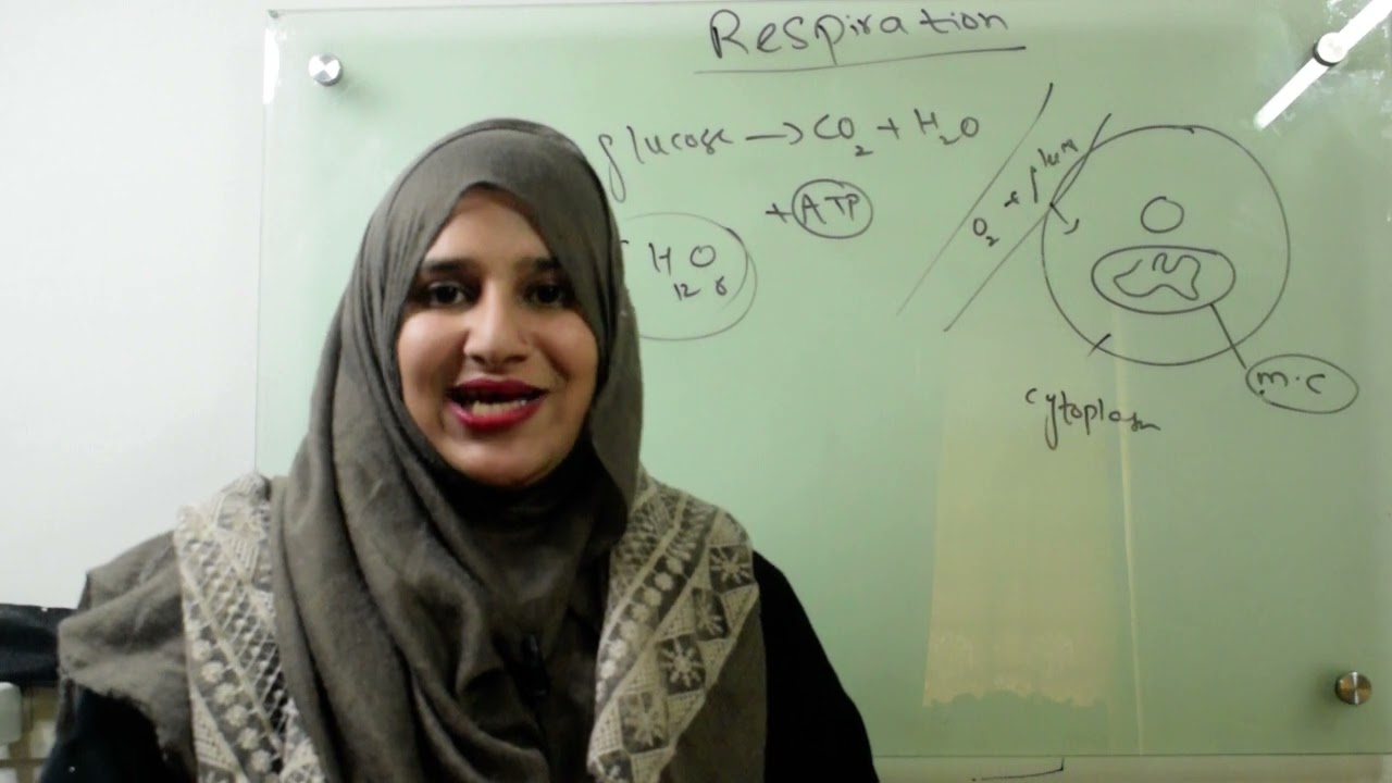Class 9||Chp#7||Respiration & its types(Aerobic  & anaerobic)