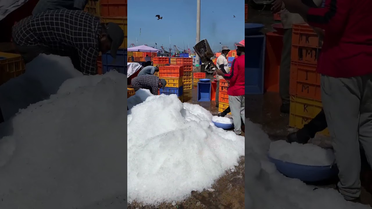 Incredible Karnataka #18 | Old mangalore port | Fish ice packing 