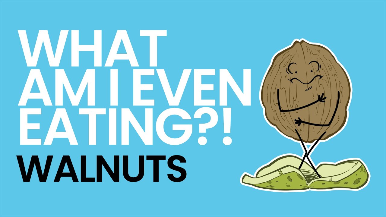History of Walnuts What Am I Even Eating?! YouTube
