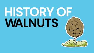 History of Walnuts - What Am I Even Eating?!
