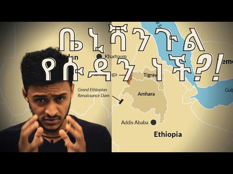 ቪዲዮ: ጉዳይን ከ ዶቃዎች እንዴት እንደሚሸመን