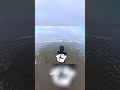Fishing Secret: Reel, Pause, Hook! The Ultimate Bait Action Technique #shorts