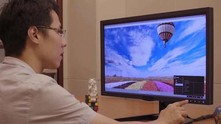 BenQ SW320 Demo_GamutDuo