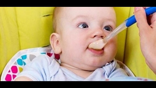 فوائد الأرز المصري للأطفال الرضع يوتيوب