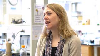 Master of Science in Biomedical Sciences