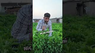 Ev Malbata Kî Ye😅 Resimi