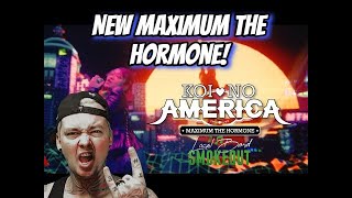 MTH IS BACK & THIS TRACK IS WILD !!! Maximum The Hormone - Koi No ( Reaction / Review )