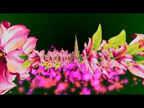 futazhi dlja videomontazha ,