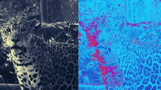 Last Days Template - Giselle Lynette