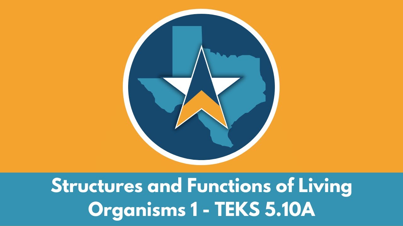 5th Grade Science STAAR Test Review - Structures and Functions of Living Organisms 2 TEKS 5.10A