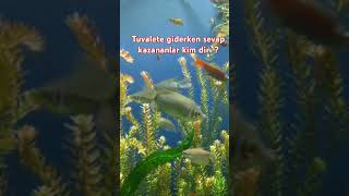 Islâm Adabına Uyanlar