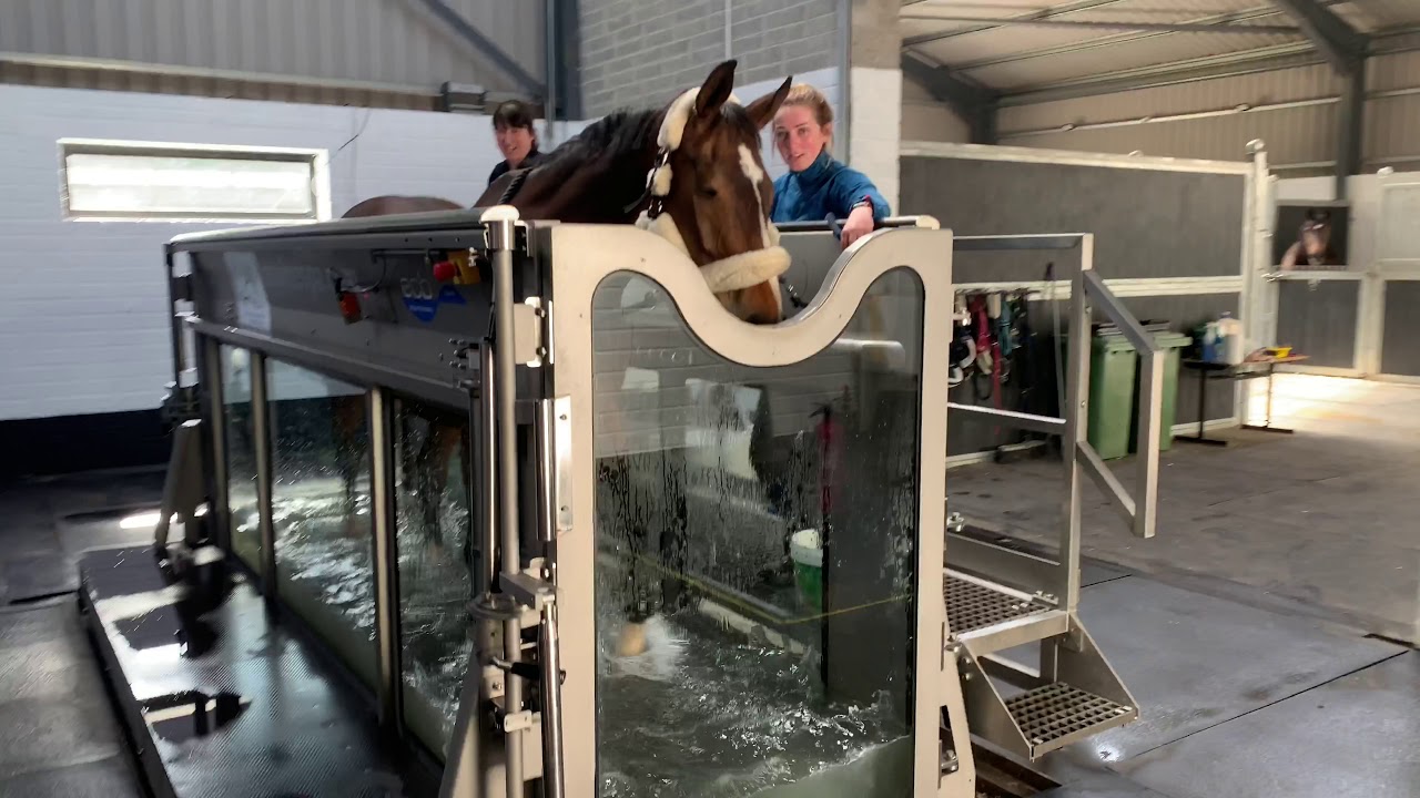 Irish Equine Rehabilitation & Fitness Centre YouTube
