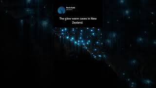 The glow worm caves in New Zealand