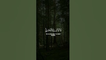 القارئ | أحمد النفيس | دع أصابعك تشهد لك وأكتب ما تؤجر عليه 💬❤