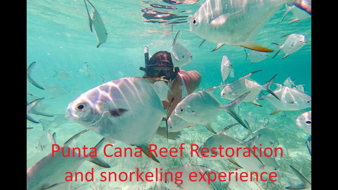 Punta Cana Reef Restoration and snorkeling experience5
