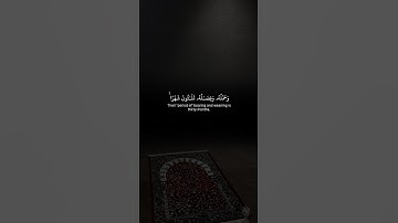 اكتب شيء تؤجر عليه 😴💚 قران كريم | ياسر الدوسري