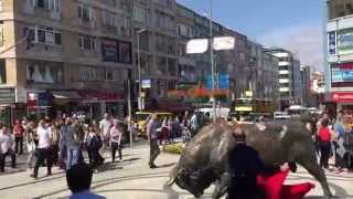 Troll Aras Kadıköy Boğasını Coşturuyor Aras Karafil