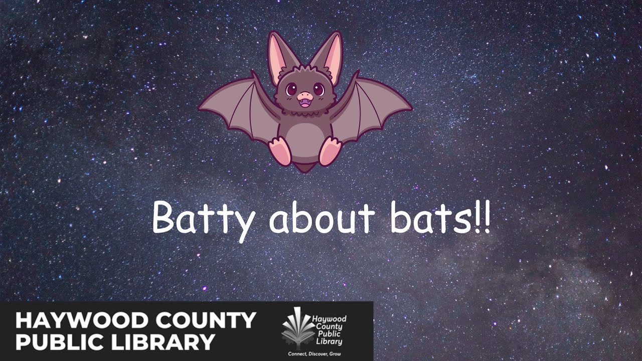Batty About Bats