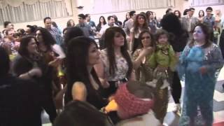 komazerdest newroz nü