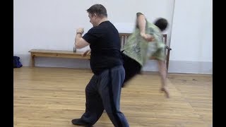 A dangerous Tai chi science experiment, and a tuishou lesson A dangerous Tai chi science experiment, and a tuishou lesson
