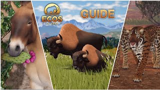 Ecos La Brea : The Guide, How to Play