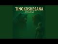 Tinokoshesana Tinokoshesana