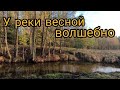 Прекрасная весенняя прогулка по лесу. ЗАКОНЧИЛИ РЕСТАВРАЦИЮ ШКАФЧИКА