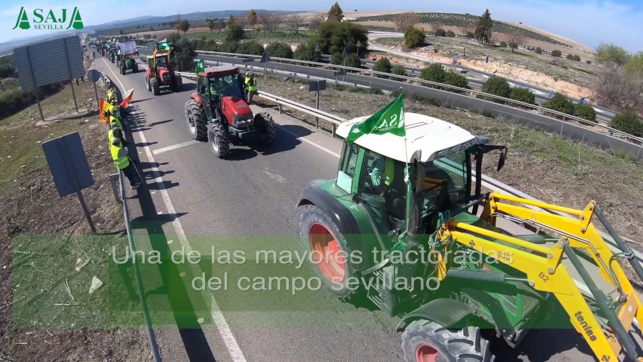 Más de 16.000 personas y 5.000 tractores reclaman en la provincia de Sevilla un campo vivo
