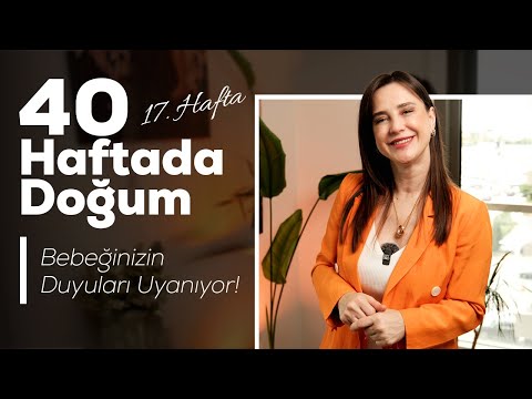 Hamileliğin 17. haftası — video