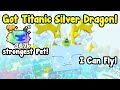 I Got New Titanic Silver Dragon! Best Rainbow Divine Pet In Pet Simulator 99!