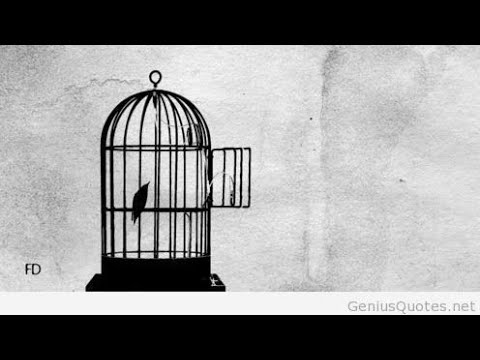 Assista a Yang Da Gift & Serene G - go hard (Official Visualizer) no YouTube