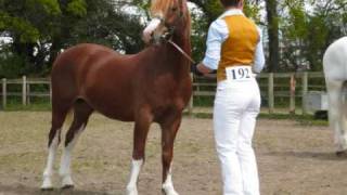 Peasedown Leonardo Welsh section C