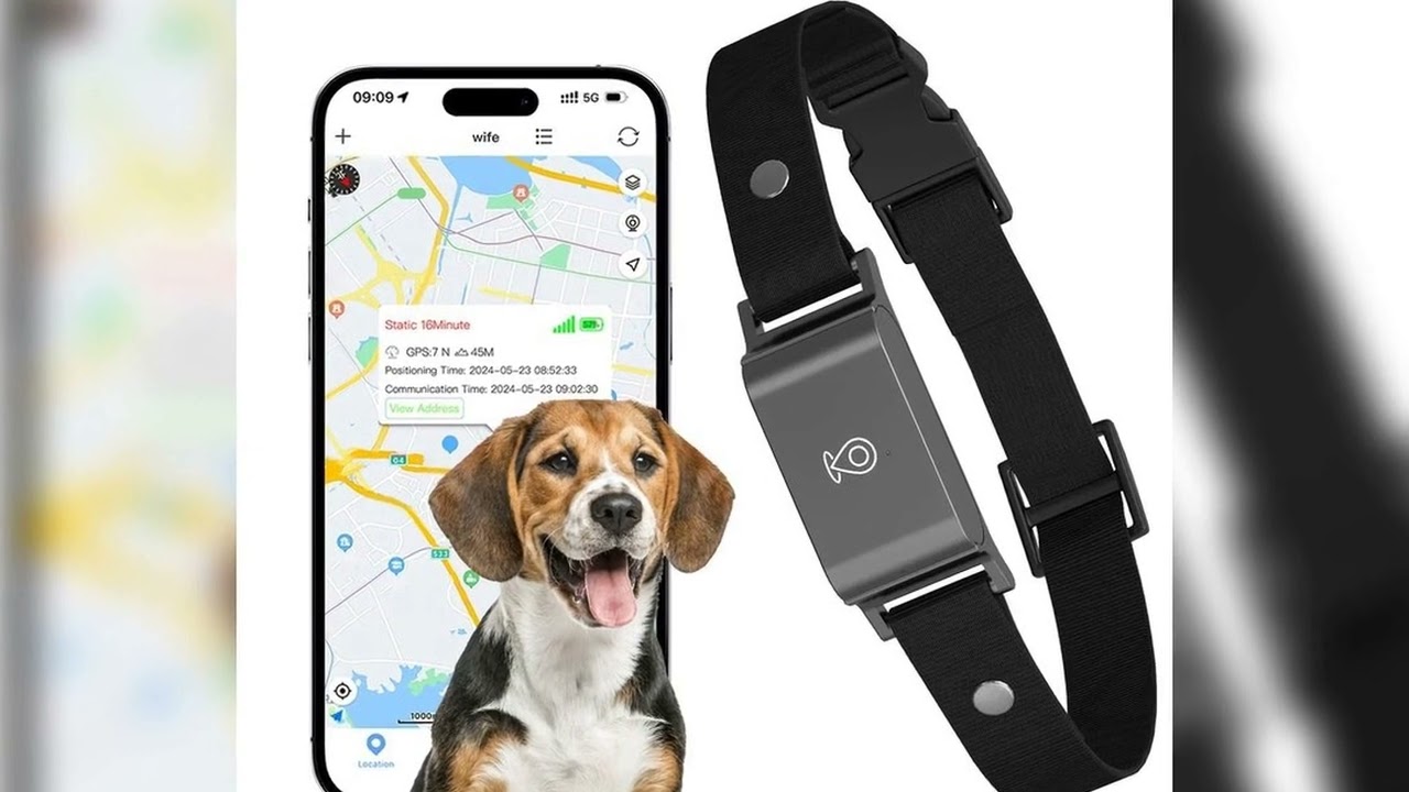 A must-have product! IP67 Waterproof Mini 4G GPS Animal Tracker Collar Anti-Lost Real Time Trackin