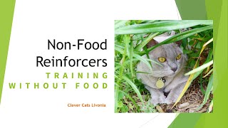 Non-Food Reinforcers:  Training without Food by Clever Cats Livonia 307 views 2 years ago 4 minutes, 23 seconds