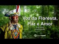 Voz da floresta paz e amor  yura shane  grupo kayatibu  casa hair  ayahuasca