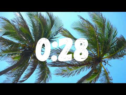 90 Second Countdown Timer with Bird Song