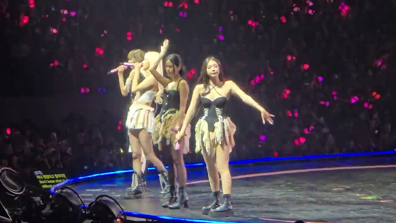 Don't know what to do and Whistle BLACKPINK PERFORMANCE.