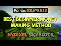 BEST Way to Make Money as a Beginner on Hypixel Skyblock