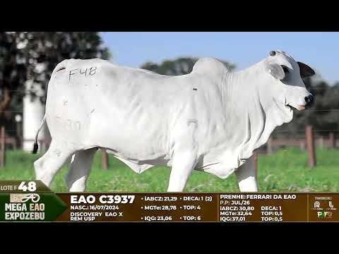 LOTE F48