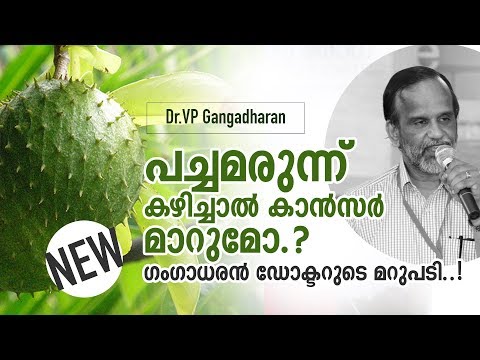 പച്ചമരുന്ന് കഴിച്ചാൽ കാൻസർ മാറുമോ ..? ഗംഗാധരൻ ഡോക്ടറുടെ മറുപടി Dr VP Gangadharan