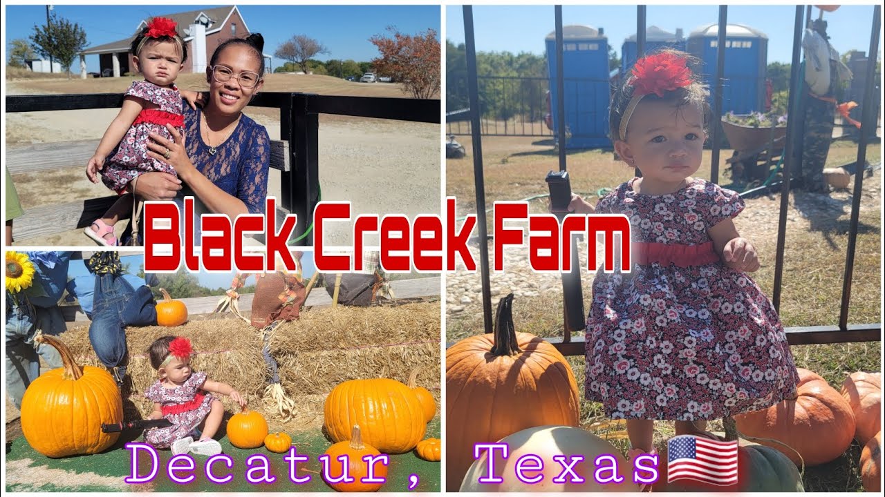 Perfect Day in the Farm Black Creek Farm in Decatur TX (THE KOEN'S) YouTube