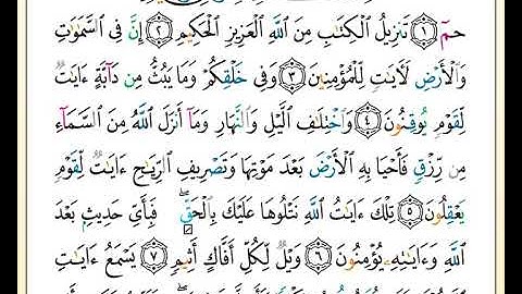 ختمة تلاوة لمصحف التجويد بصوت القارئ محمد حبش الصفحة رقم 499