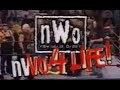 Wcw superstar series  nwo 4 life 1999